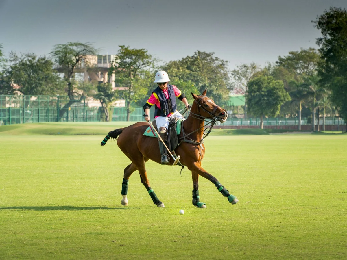 Representative school and corporate uniforms photography for the fictional product Team Polo Uniform