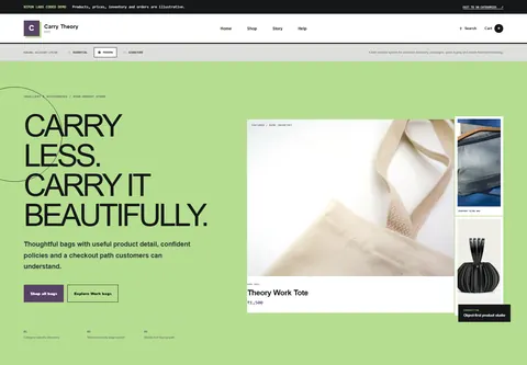Modern coded handbag and purse store storefront home preview for Carry Theory